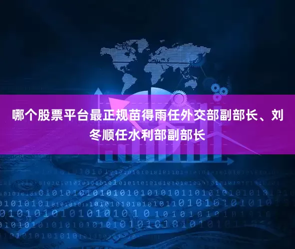 哪个股票平台最正规苗得雨任外交部副部长、刘冬顺任水利部副部长