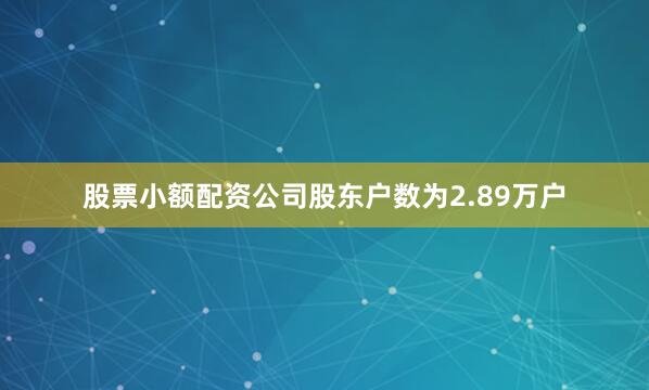 股票小额配资公司股东户数为2.89万户
