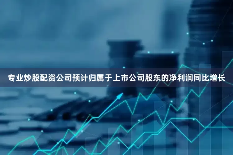 专业炒股配资公司预计归属于上市公司股东的净利润同比增长