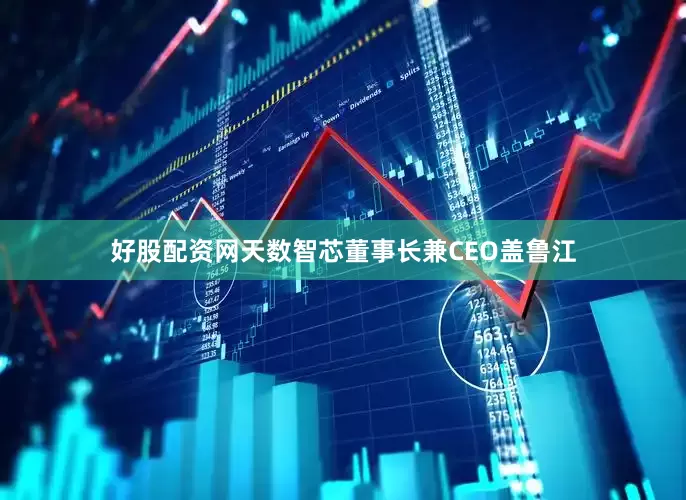 好股配资网天数智芯董事长兼CEO盖鲁江