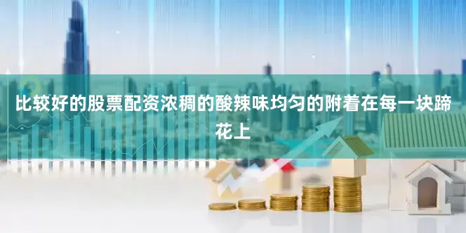 比较好的股票配资浓稠的酸辣味均匀的附着在每一块蹄花上
